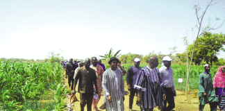 Productions agro-sylvo-pastorales et halieutiques