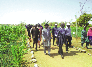 Productions agro-sylvo-pastorales et halieutiques