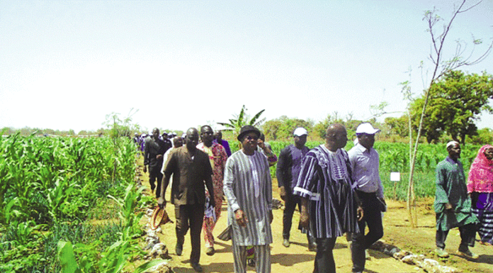 Productions agro-sylvo-pastorales et halieutiques