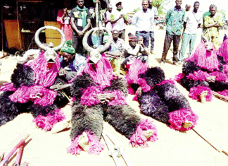 Festival Buud-Bangré de Samba : La culture au service du développement