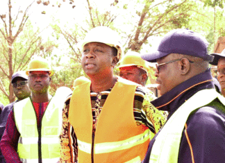 Centrale électrique de Kossodo : Les travaux d’extension exécutés à 69%