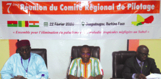 Lutte contre les maladies tropicales négligées : Le comité technique révise le cadre des résultats