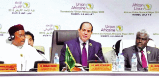 Présidence de l’Union africaine : L’Egypte affirme sa foi en la complémentarité pour développer le continent
