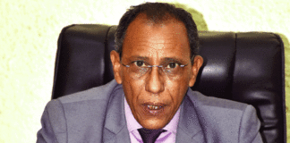 Transport en Afrique de l’Ouest et du Centre : Les acteurs se réorganisent