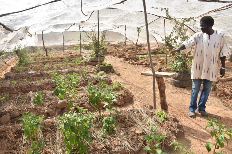 Récupération des terres dans le Plateau central: La touche de Ablacé Compaoré sur la plaine de Betta