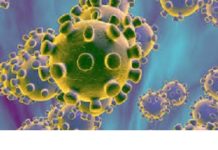 Coronavirus: fausse alerte à Tenkodogo