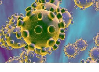 Coronavirus: fausse alerte à Tenkodogo