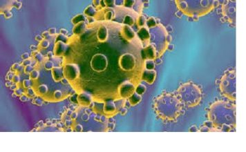 COVID-19: 207 cas testés positif, 21 guéris.
