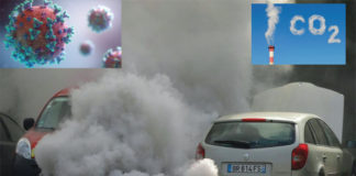 Covid-19 : des bienfaits pour l’environnement