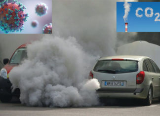 Covid-19 : des bienfaits pour l’environnement