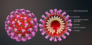 Covid-19 au Burkina Faso:13 nouveaux cas confirmés; 6 guérisons; 00 décès à la date du 11 avril