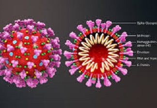 Covid-19 au Burkina Faso:13 nouveaux cas confirmés; 6 guérisons; 00 décès à la date du 11 avril