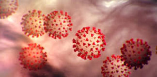 Covid-19 au Burkina Faso: 7 nouveaux cas confirmés, 21 guérisons et 2 décès à la date du 22 avril