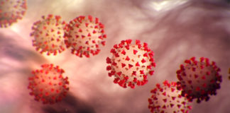 Covid-19: 03 nouveaux cas confirmés, 31 guérisons et 00 décès à la date du 15 avril 2020
