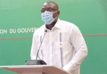 Risque d’invasion de criquets pèlerins: Le gouvernement prépare un plan d’attaque