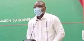 Risque d’invasion de criquets pèlerins: Le gouvernement prépare un plan d’attaque