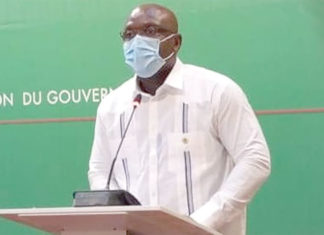 Risque d’invasion de criquets pèlerins: Le gouvernement prépare un plan d’attaque