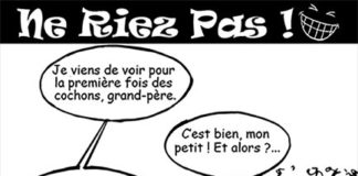 Sourire du 23 04 2020