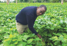 Inoussa Ouédraogo, président de l’UNPSB du Burkina : « Pour cette campagne, nous envisageons 20 mille tonnes de semences »