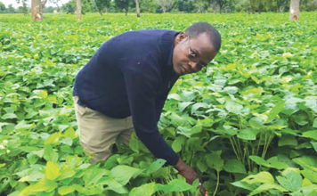 Inoussa Ouédraogo, président de l’UNPSB du Burkina : « Pour cette campagne, nous envisageons 20 mille tonnes de semences »