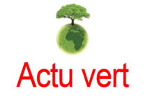 Vivement une police de l’environnement