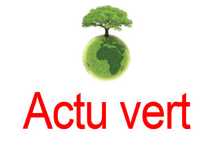 Vivement une police de l’environnement