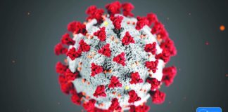 COVID-19 au Burkina Faso: 02 nouveaux cas confirmés tous importés