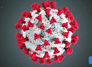 Mettre la justice sociale et l’égalité femmes-hommes au cœur de la lutte contre le covid-19 en Afrique de l’ouest