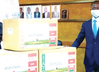 Lutte contre le coronavirus : Madagascar offre du Covid-Organics au Burkina