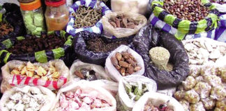 Produits forestiers non ligneux : Mieux cerner les opportunités d’affaires du sous-secteur