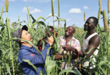 Chine express/Projet mil: « son objectif est d’aider le Burkina »