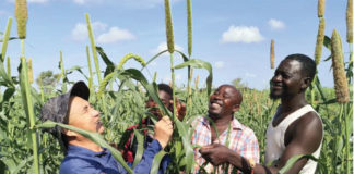 Chine express/Projet mil: « son objectif est d’aider le Burkina »