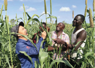 Chine express/Projet mil: « son objectif est d’aider le Burkina »