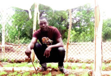 Yézouma Coulibaly, militaire radié : de caporal à entrepreneur agricole