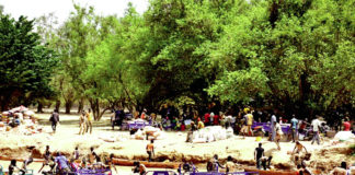 Orpaillage à Sibi dans les Balé : Des violences au quotidien