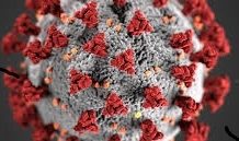 COVID-19 au Burkina Faso: 00 nouveaux cas confirmés, 08 nouvelles guerisons