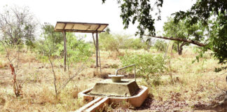 Energies renouvelables: les merveilles du solaire au Burkina