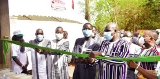 Foires aux semences améliorées de plantes