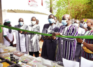 Foires aux semences améliorées de plantes