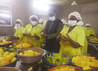 Transformation des produits locaux : Le ministre Harouna Kaboré visite des unités de production