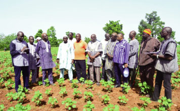 Campagne cotonnière dans le Houet:l’UNPCB apprécie la « bonne » physionomie des champs