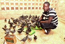 Energies renouvelables : Les merveilles du solaire au Burkina