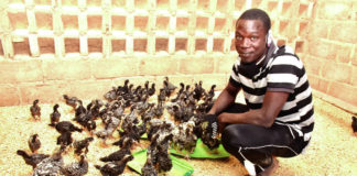 Energies renouvelables : Les merveilles du solaire au Burkina