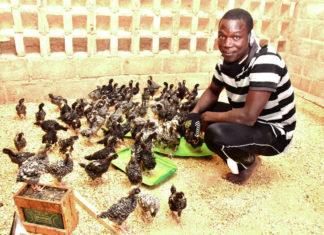 Energies renouvelables : Les merveilles du solaire au Burkina