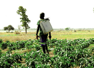 Utilisation des pesticides : une menace pour l’environnement