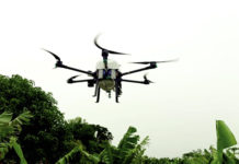 Production de bananes : des drones pour lutter contre les nuisibles