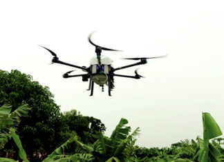 Production de bananes : des drones pour lutter contre les nuisibles
