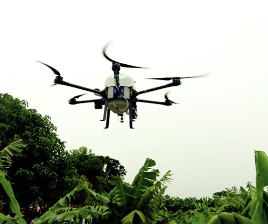 Production de bananes : des drones pour lutter contre les nuisibles