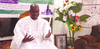 Développement de l’Afrique : Hermann Sawadogo propose un plan 2020-2050