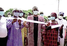 Journée mondiale de l’environnement 2020 : Non à la coupe abusive du bois… !